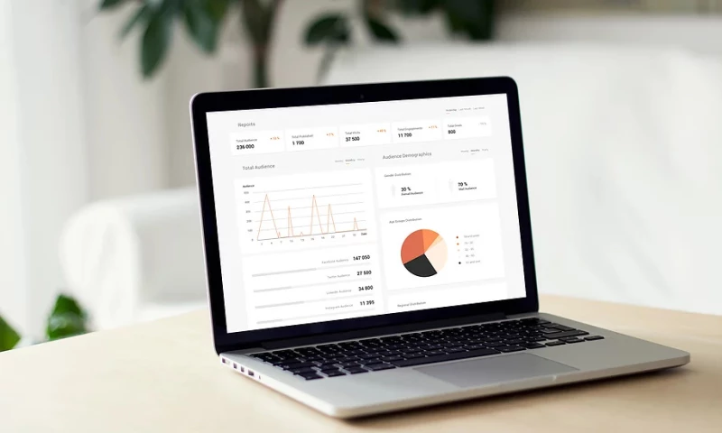 RabIT Solutions - Custom Digital Marketing Platform