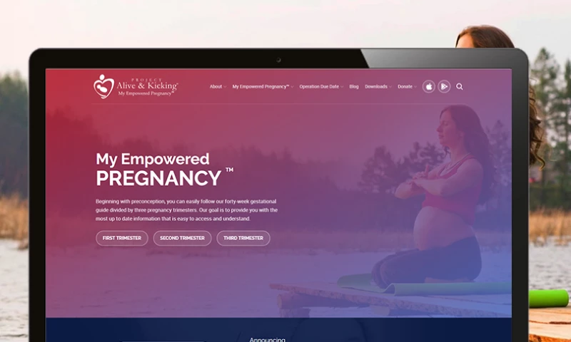 Digicorp Information Systems LLC - PROJECT ALIVE AND KICKING (PAK)