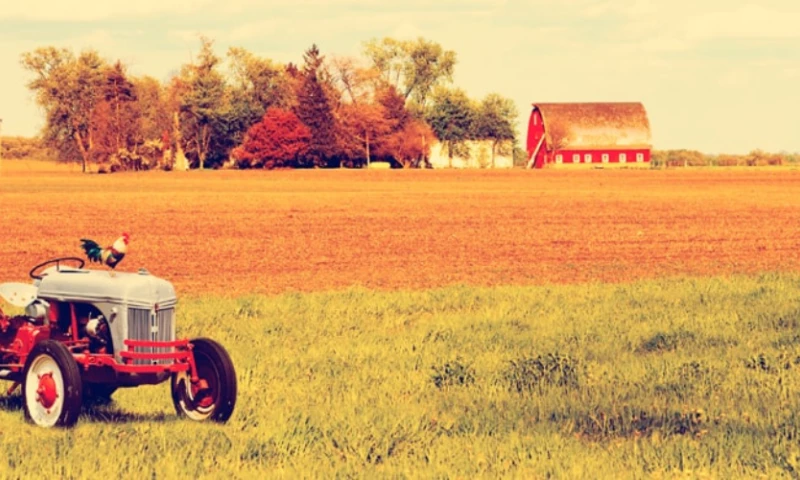 Building a hybrid mobile application to help protect growers against shallow yield losses