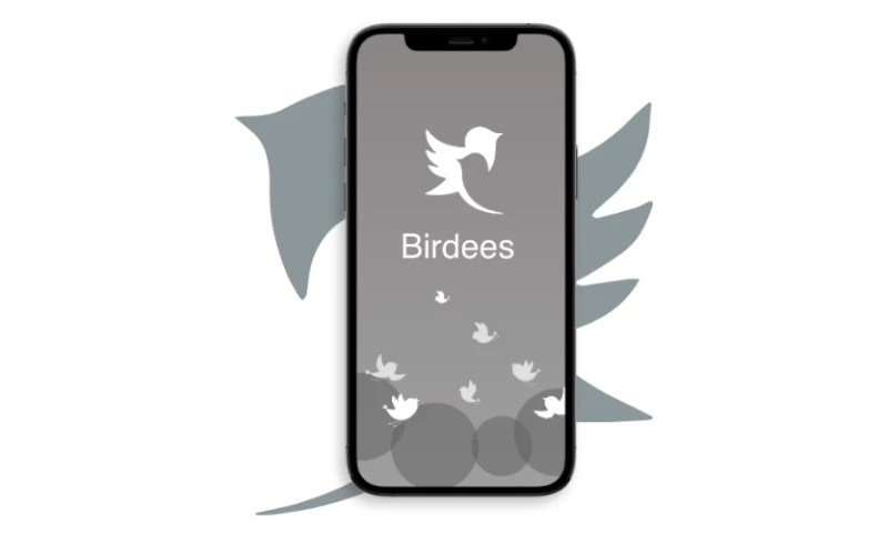 Dating Application for a USA-based Client