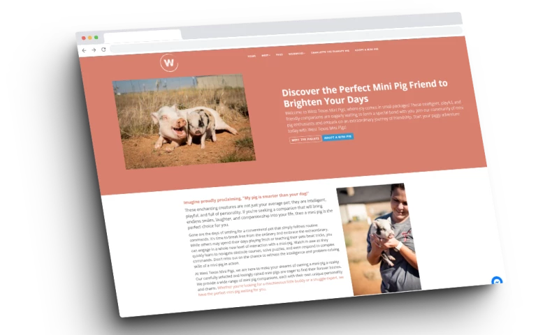 Ploughman Design - West Texas Mini Pigs - Website