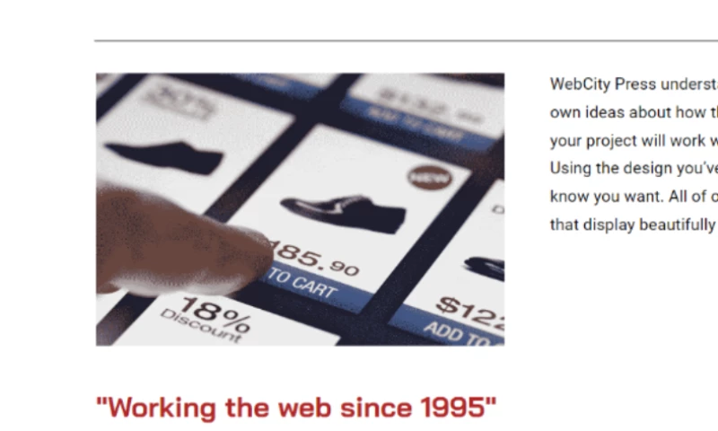 WEB DESIGN & DEVELOPMENT