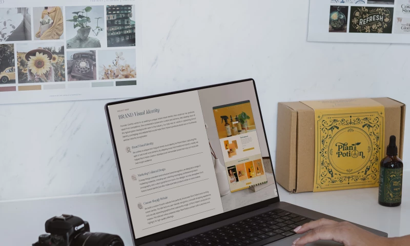 B Creative Studio - Plant Potion