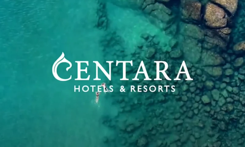 Relevant Audience - Double-Digit Growth In Direct Bookings