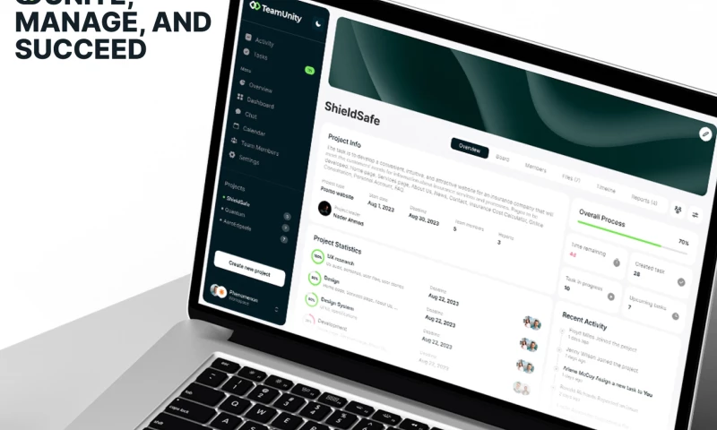 Phenomenon Studio - TeamUnity - project management and collaboration platform design