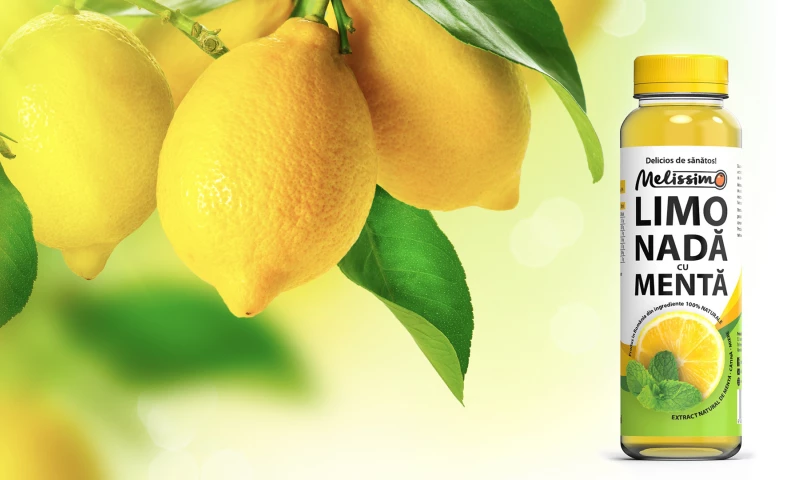 Logo Bigger - Visual Identity Melissimo Lemonade