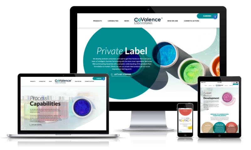 Lounge Lizard - CoValence Laboratories