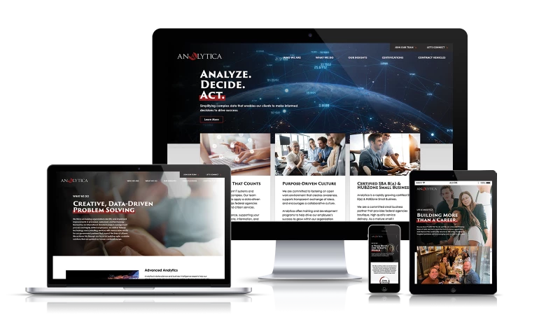 Lounge Lizard - Analytica