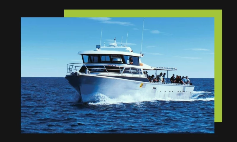 Dilate Digital - Absolute Ocean Charters