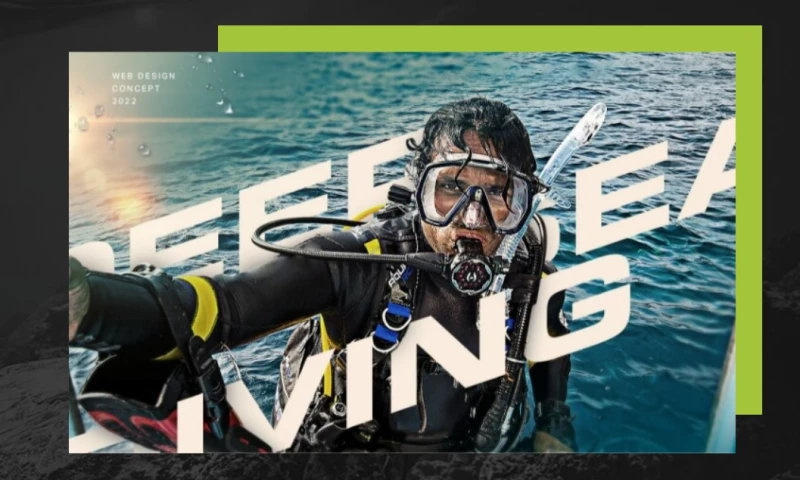 Dilate Digital - Premium Dive