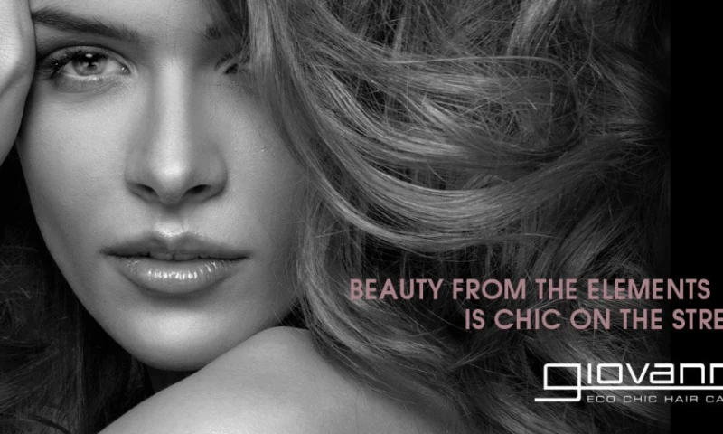 Giovanni Eco Chic Hair Care