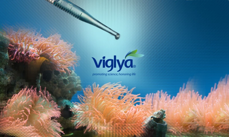 Viglya, promoting science, honoring life