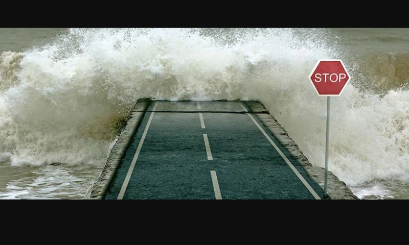 BLUE CORONAS ONLINE MARKETING SERVICES PROVIDE RESTORATION COMPANY WITH OVER 10,000% RETURN ON AD SPEND