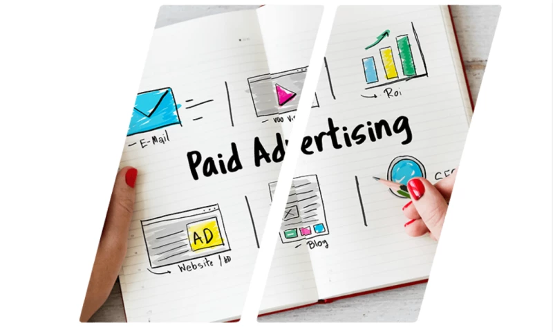 Website Design and Optimization