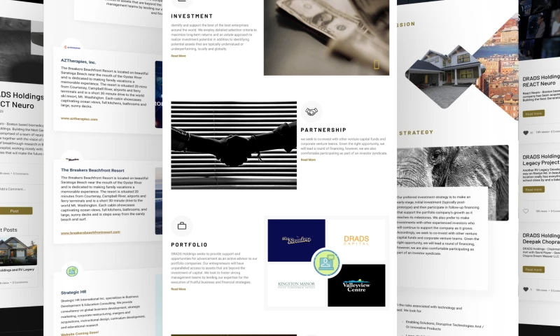 Mikado - Drads Holdings