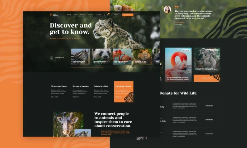 128.digital - Zoo 128