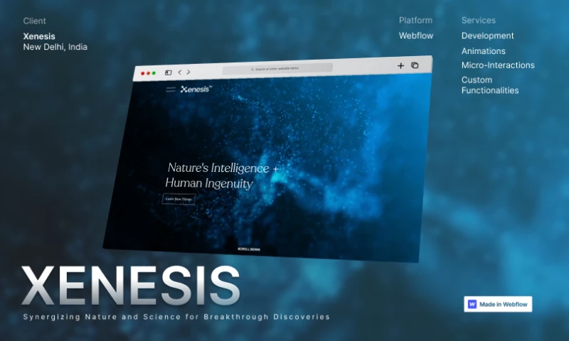 Slim Panda - Xenesis Website Development