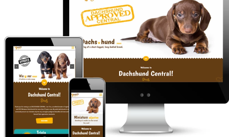 Red Spot Design - Dachshund Central