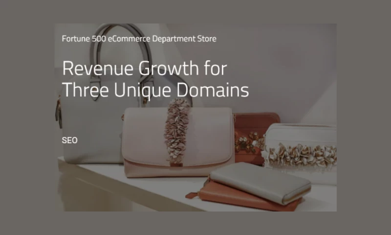 Amsive - Revenue growth for three unique domains.