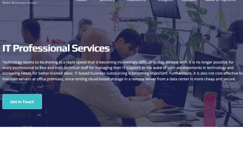 IT Professional Services