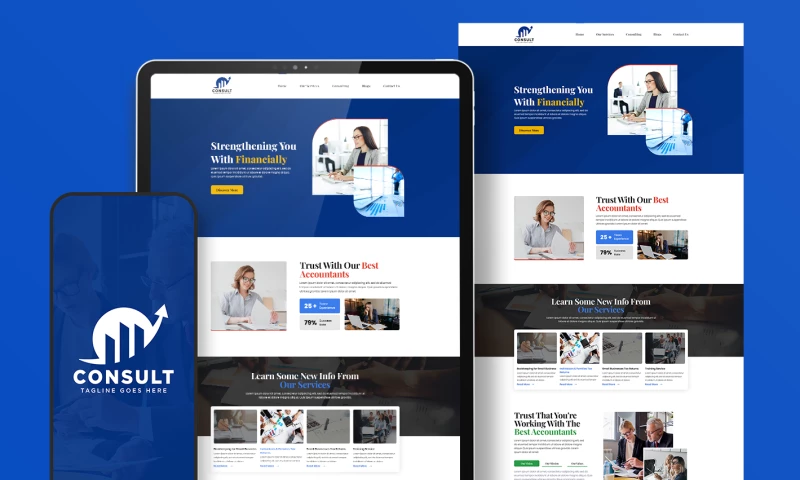 BariTechSol - Consultancy