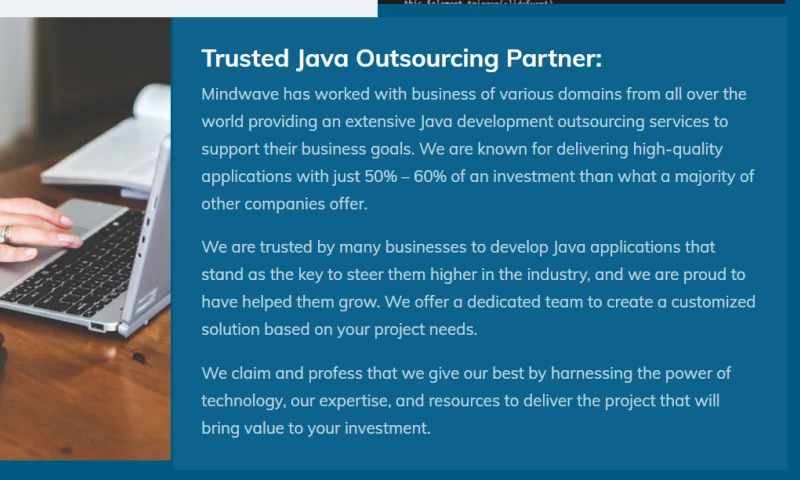 Mindwave Solutions - Enterprise Java Development