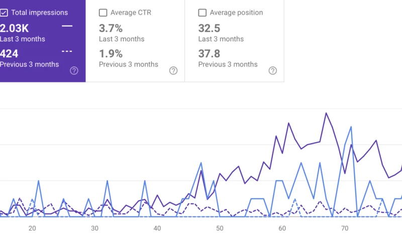 Tree Stump Removal Company SEO