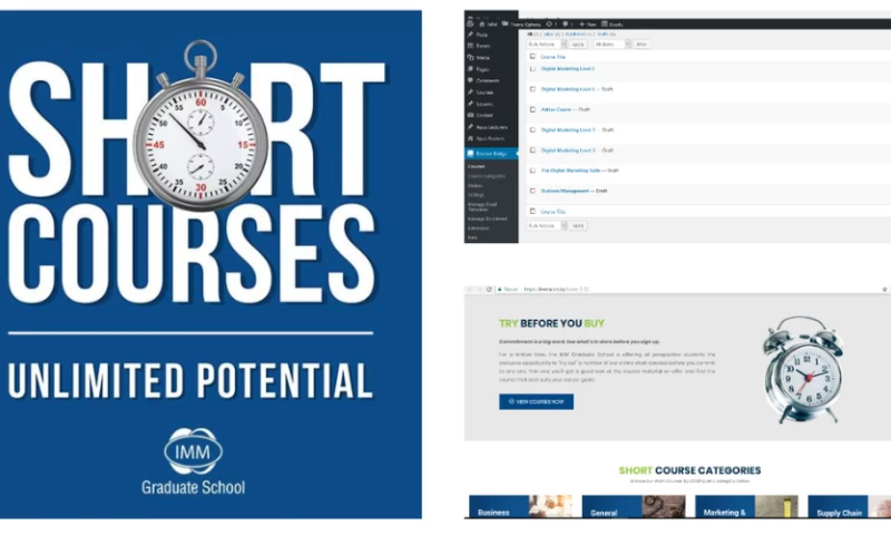 Digital Grind Agency - IMM Graduate School