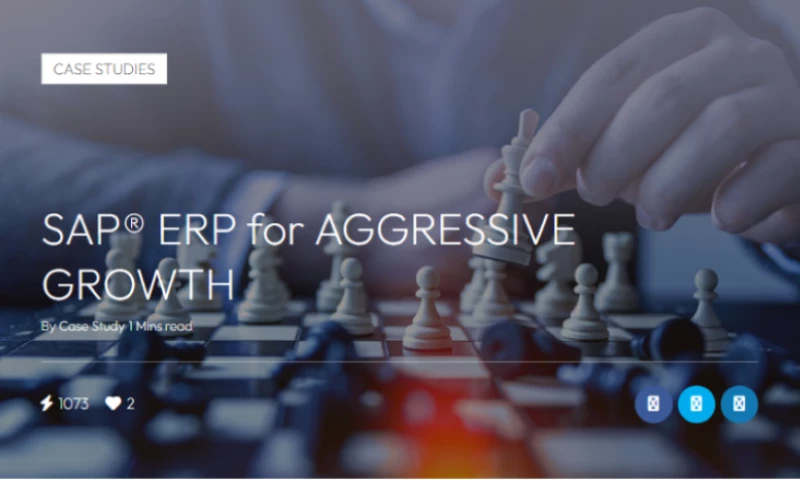 SAP ERP for AGGRESSIVE GROWTH