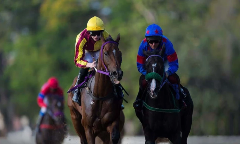 Kentucky Derby Museum Scales Up for the Racing Season with Paylocity