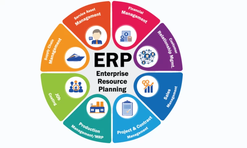 ERP Consulting