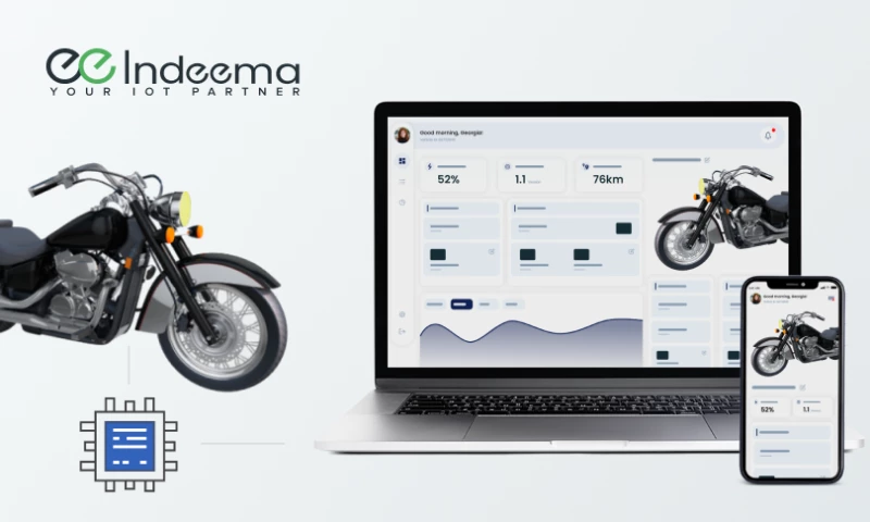 Indeema Software - Intelligent Electric Vehicle Telemetry