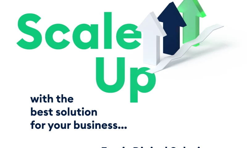 SMM| Fortis Digital Solutions