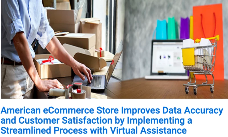 American eCommerce Store Improves Data Accuracy and Customer Satisfaction by Implementing a Streamlined Process with Virtual Assistance