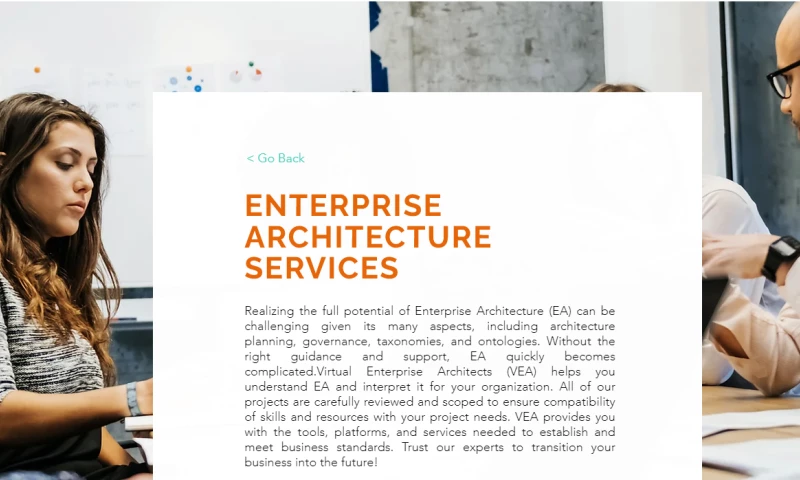 ENTERPRISE ARCHITECTURE SERVICES