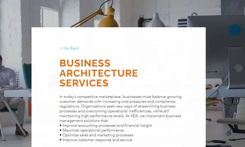 BUSINESS ARCHITECTURE SERVICES
