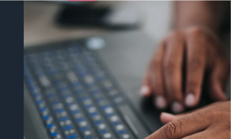 The Essential Project - Consulting