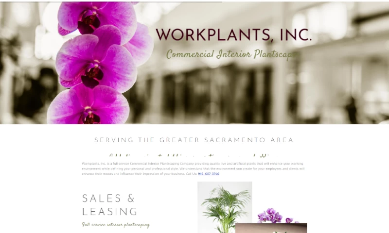 WorkPlants Website & Business Cards
