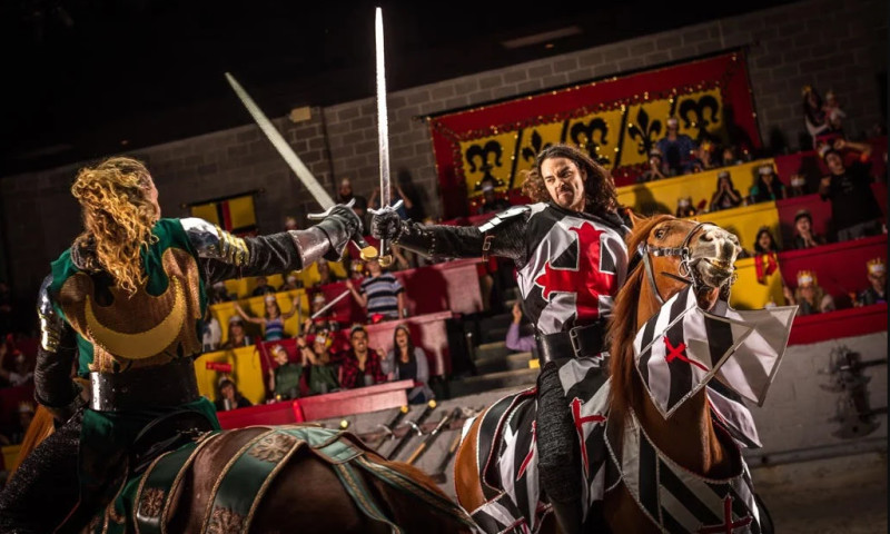 Local Seo 101 - Case Study Company MedievalTimes