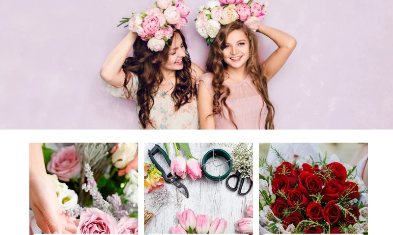 Zipvisual - Rossinna