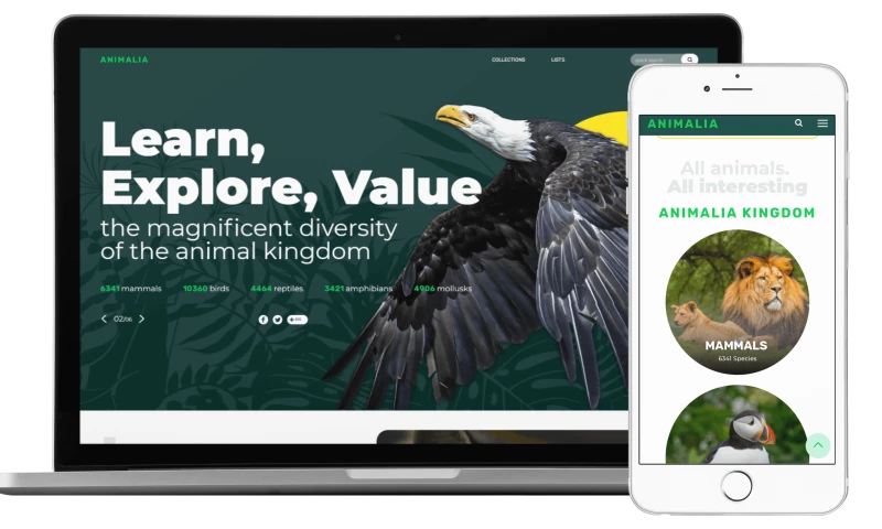 Reflex - Animalia.bio - all you want to know about animals