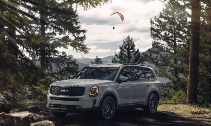 TMD - Kia dealership