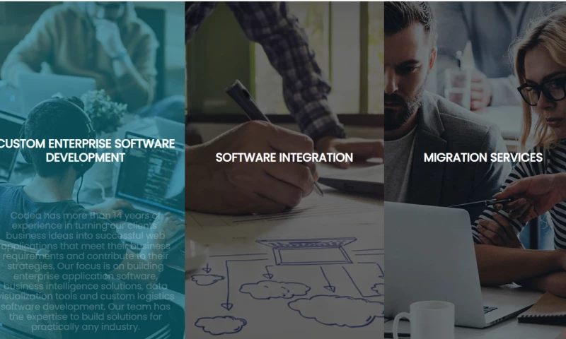 Codea Technologies - CUSTOM SOFTWARE DEVELOPMENT FOR ENTERPRISES