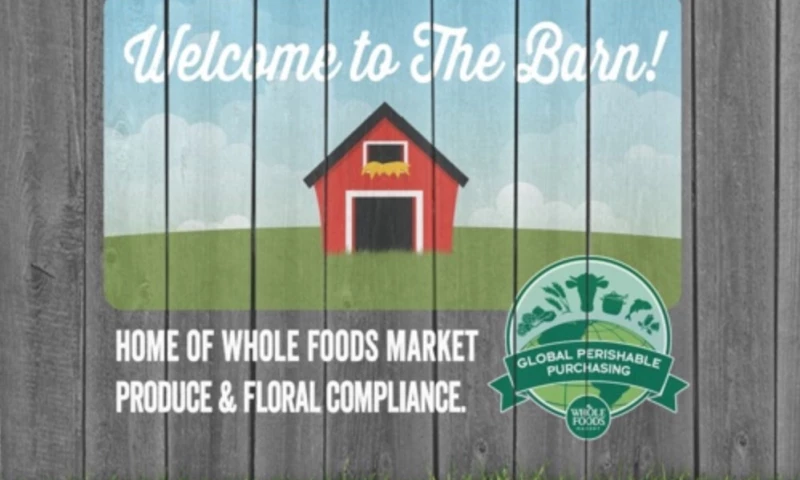 Enterprise Tech Advisor, Platform Support & Development