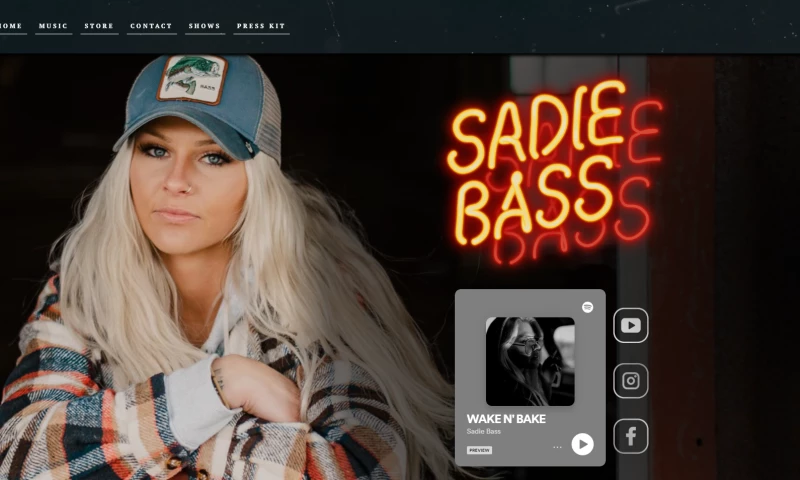 Musician Digital Presence And Press Kit