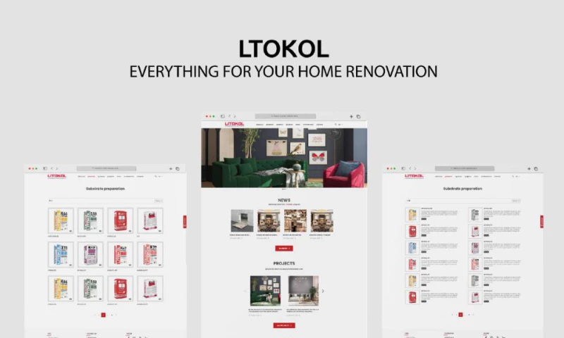 Website Development for Litokol