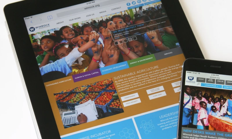 raven + crow studio - Winrock International Rebrand, Digital + Print