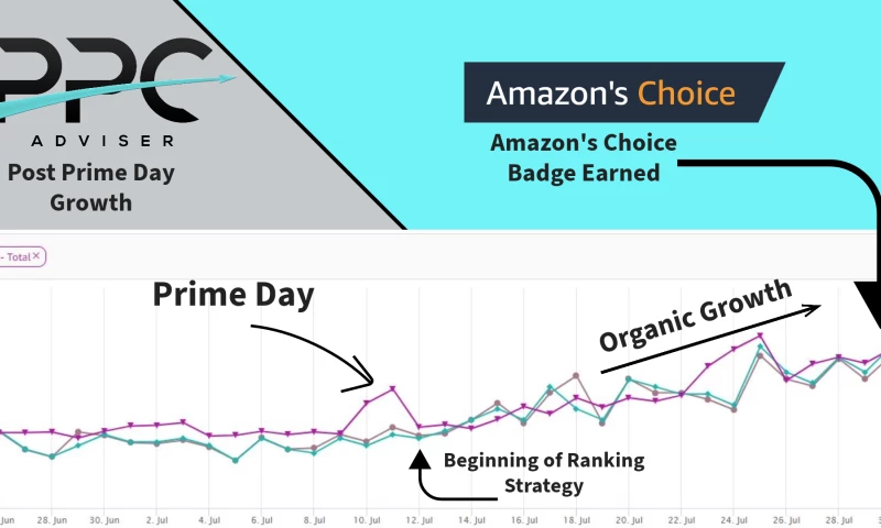 PPC Adviser - Organic Ranking Strategy