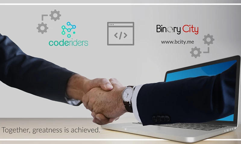 WEALTH MANAGEMENT SYSTEM