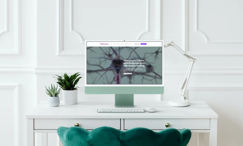 HocusBuzz - PURPLEXCELL CONSULTING